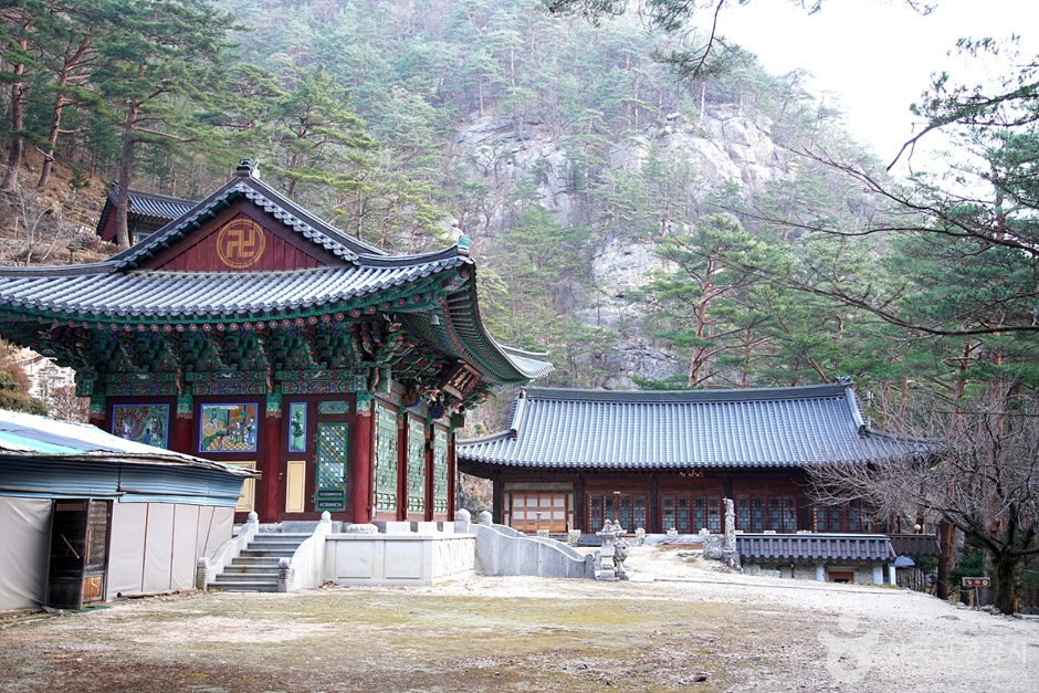 금강사(강릉) 여행 추천 - 메고지고 금강사(강릉) 여행 추천 - 메고지고