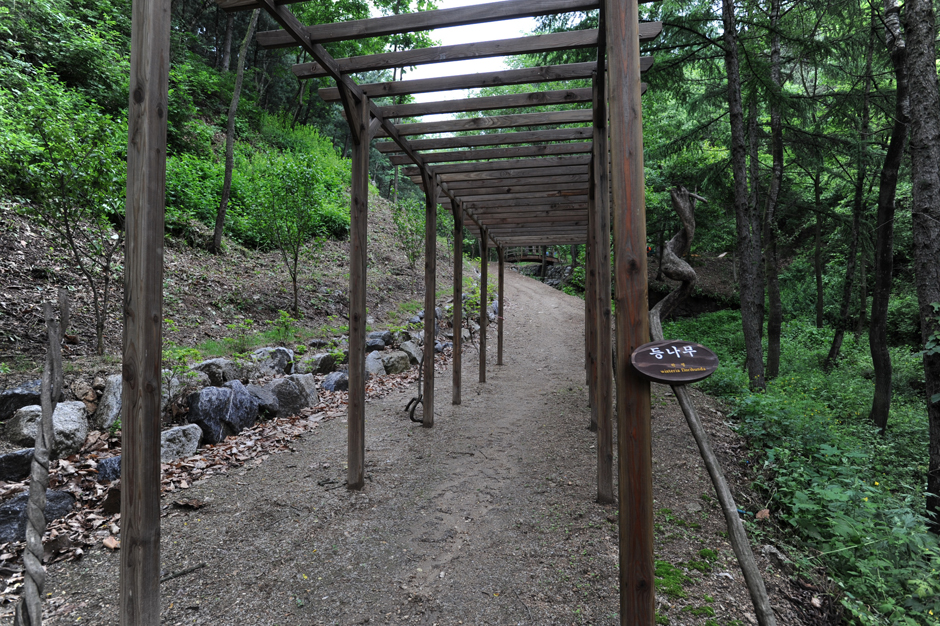 창안산산림욕장 여행 추천 - 메고지고 창안산산림욕장 여행 추천 - 메고지고
