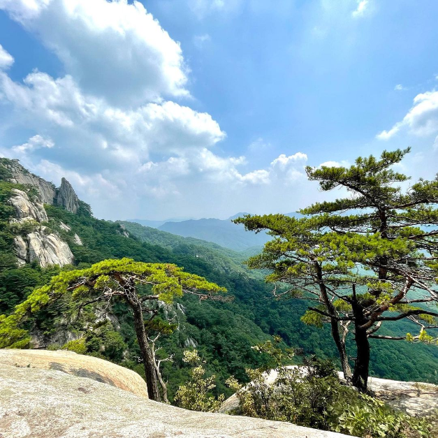 용화산 (강원평화지역 국가지질공원) 여행 추천 - 메고지고 용화산 (강원평화지역 국가지질공원) 여행 추천 - 메고지고