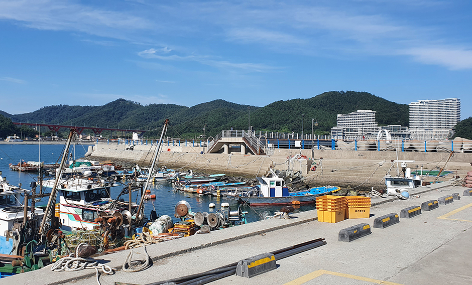 궁농항 여행 추천 - 메고지고