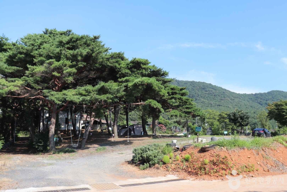 대천오토캠핑장 여행 추천 - 메고지고 대천오토캠핑장 여행 추천 - 메고지고