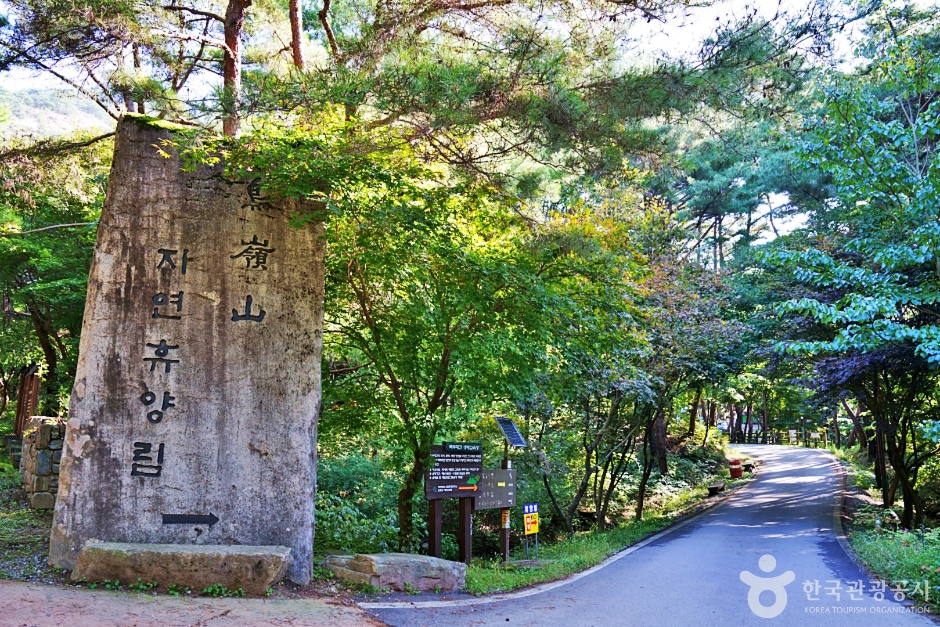 조령산자연휴양림 여행 추천 - 메고지고