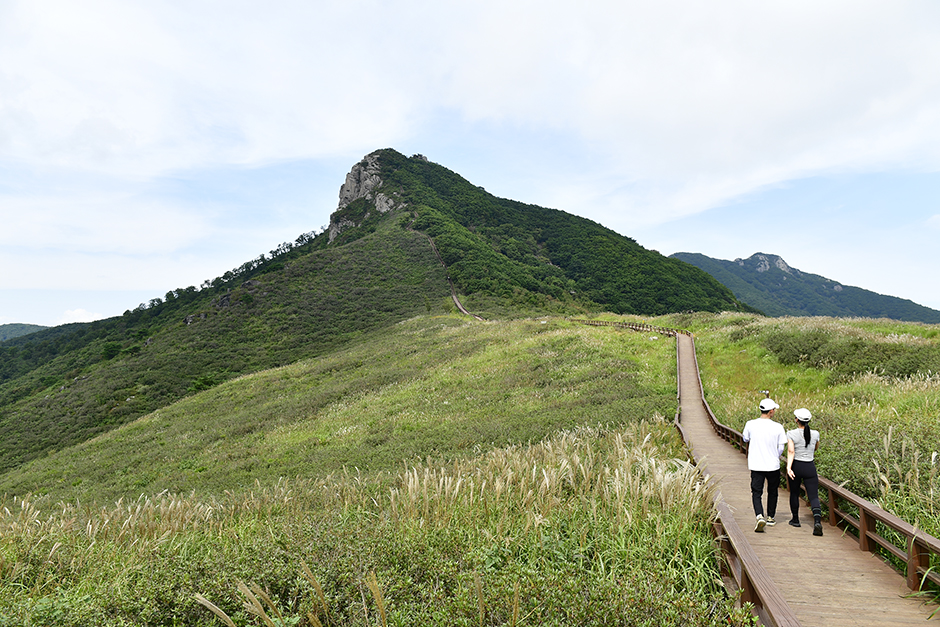황매산미리내파크 여행 추천 - 메고지고 황매산미리내파크 여행 추천 - 메고지고
