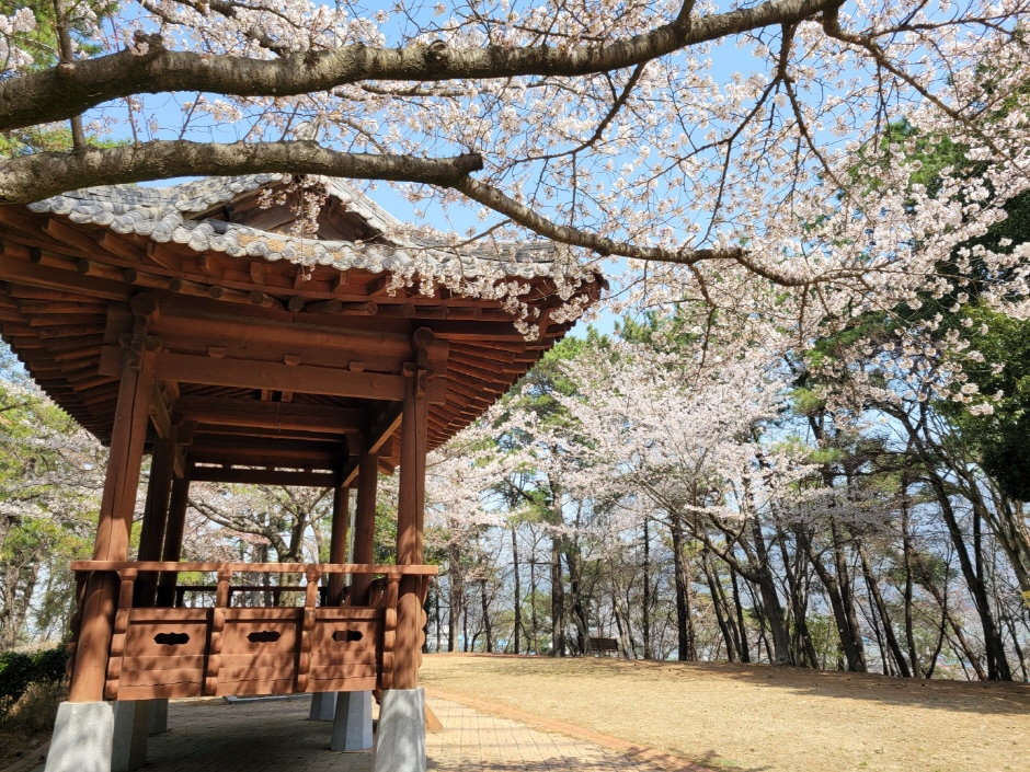 모충공원 여행 추천 - 메고지고