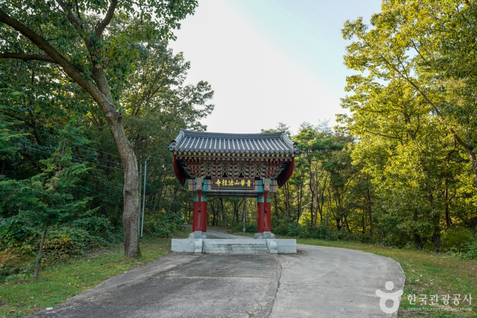 법주사(군위) 여행 추천 - 메고지고 법주사(군위) 여행 추천 - 메고지고