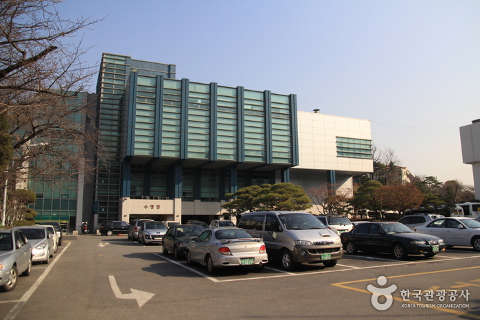 정립회관 수영센터 여행 추천 - 메고지고 정립회관 수영센터 여행 추천 - 메고지고