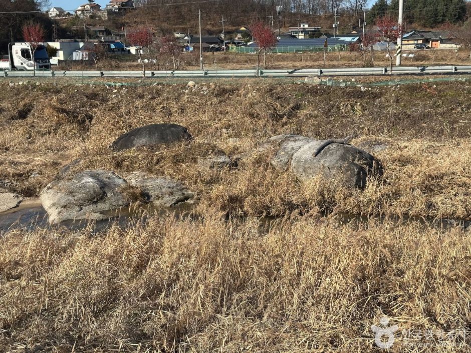 흥양3기 여행 추천 - 메고지고 흥양3기 여행 추천 - 메고지고