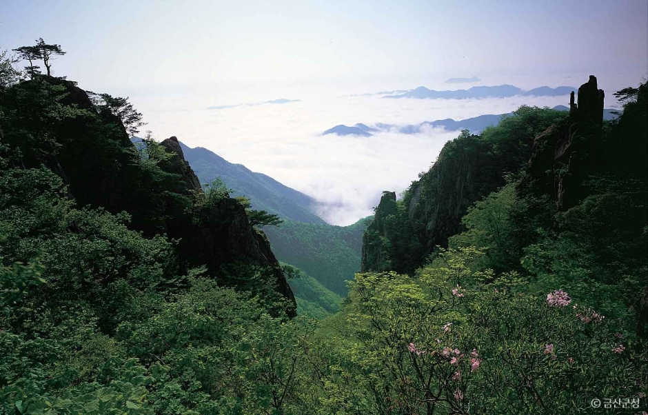 대둔산도립공원(금산) 여행 추천 - 메고지고 대둔산도립공원(금산) 여행 추천 - 메고지고
