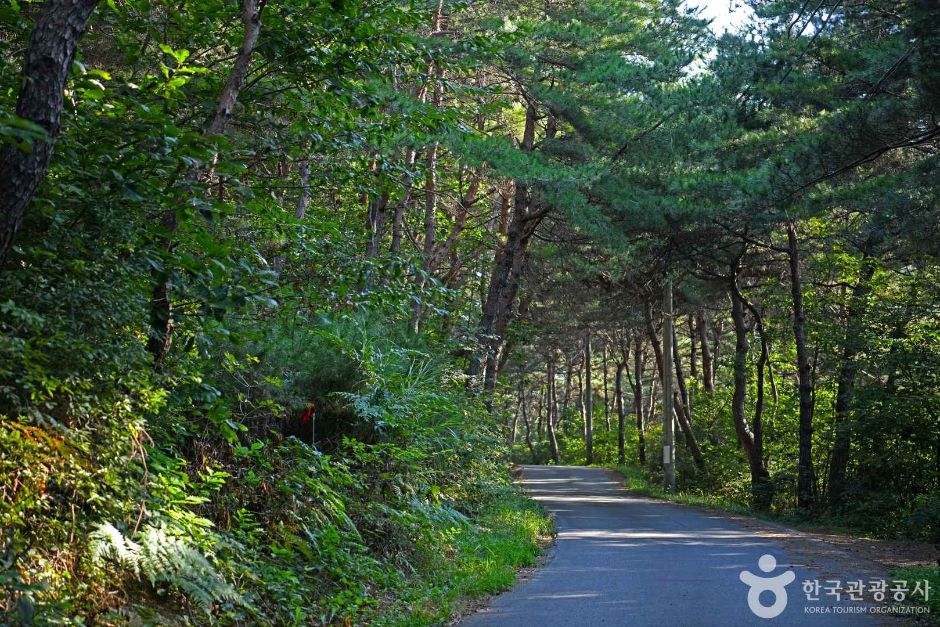 매화마을 녹색길 여행 추천 - 메고지고 매화마을 녹색길 여행 추천 - 메고지고