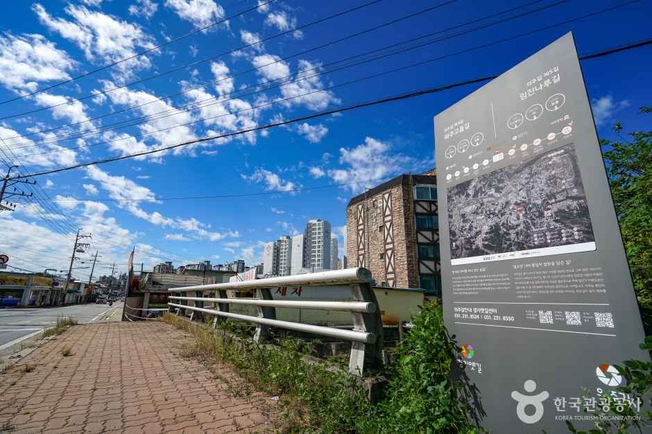 [경기옛길 의주길 제4길] 파주고을길 여행 추천 - 메고지고