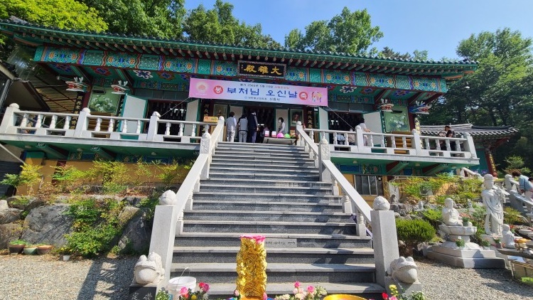 대전 신흥사 여행 추천 - 메고지고 대전 신흥사 여행 추천 - 메고지고