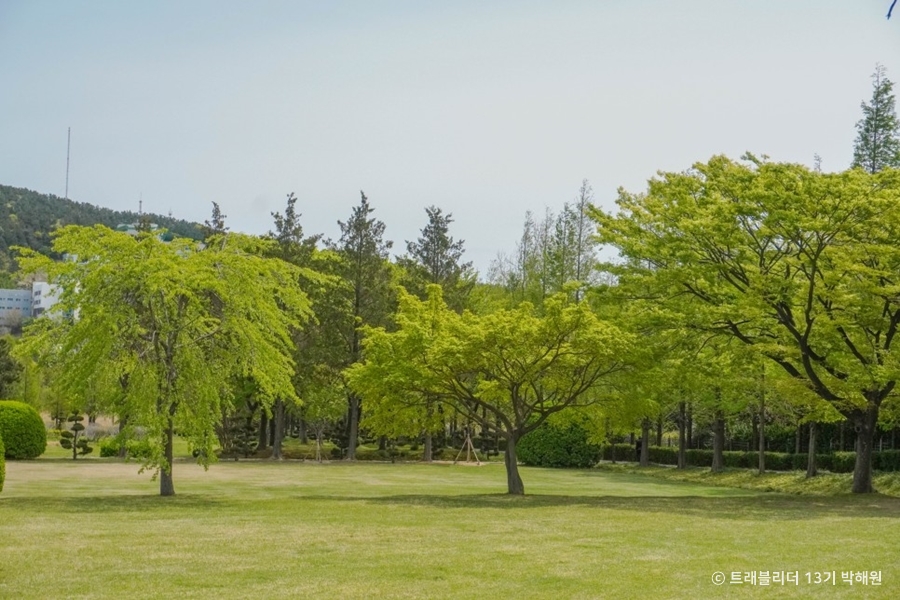 대연수목전시원 여행 추천 - 메고지고 대연수목전시원 여행 추천 - 메고지고