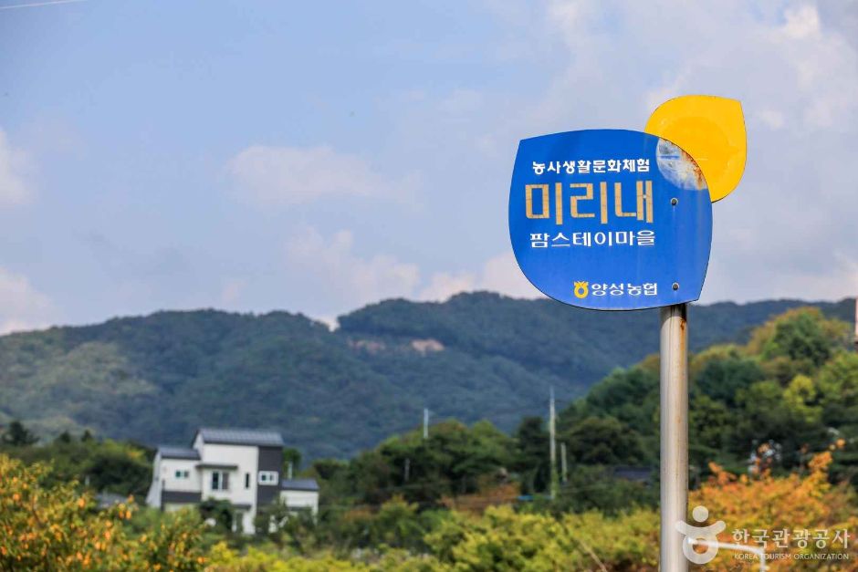 안성 미리내마을 여행 추천 - 메고지고