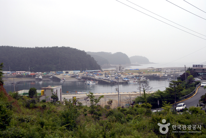 태안 모항항 여행 추천 - 메고지고 태안 모항항 여행 추천 - 메고지고