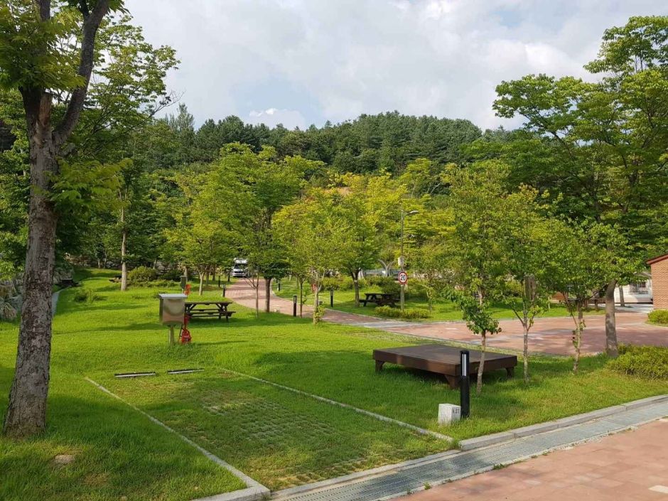 홍천강 자라바위 오토캠핑장 여행 추천 - 메고지고