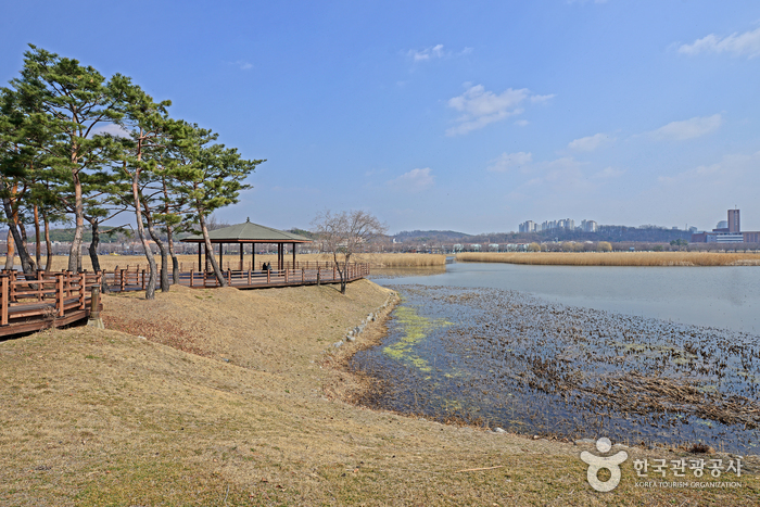 화랑유원지 여행 추천 - 메고지고 화랑유원지 여행 추천 - 메고지고