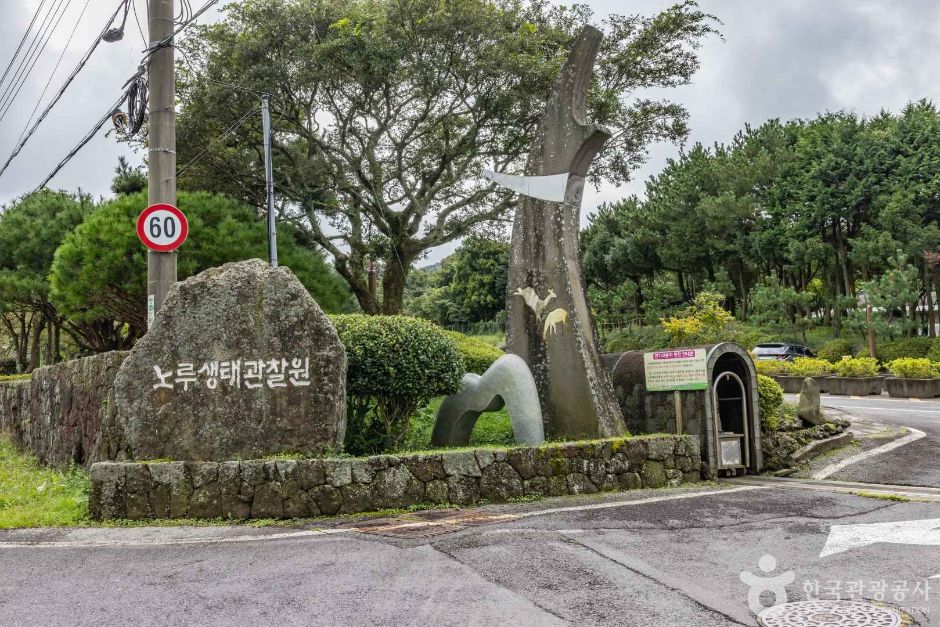 제주 노루생태관찰원 여행 추천 - 메고지고