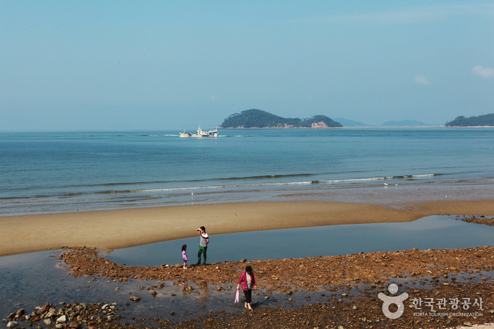 안면도 여행 추천 - 메고지고 안면도 여행 추천 - 메고지고
