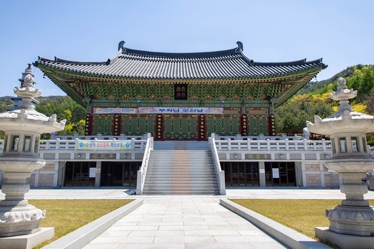 도림사(대구) 여행 추천 - 메고지고 도림사(대구) 여행 추천 - 메고지고