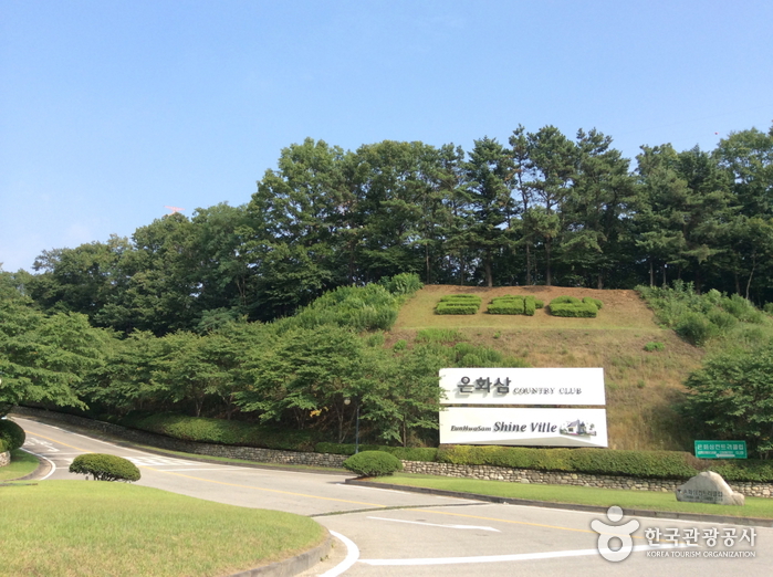 은화삼컨트리클럽 여행 추천 - 메고지고 은화삼컨트리클럽 여행 추천 - 메고지고