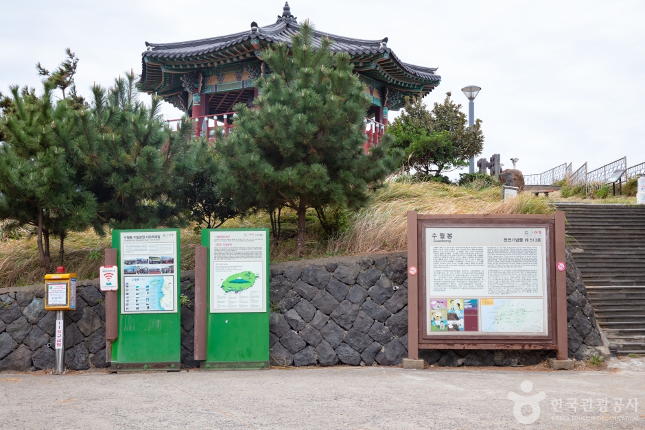 수월봉 여행 추천 - 메고지고 수월봉 여행 추천 - 메고지고