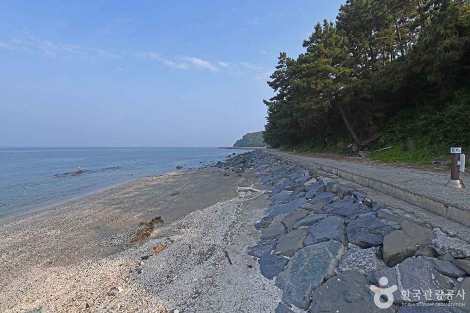 다사항 여행 추천 - 메고지고 다사항 여행 추천 - 메고지고