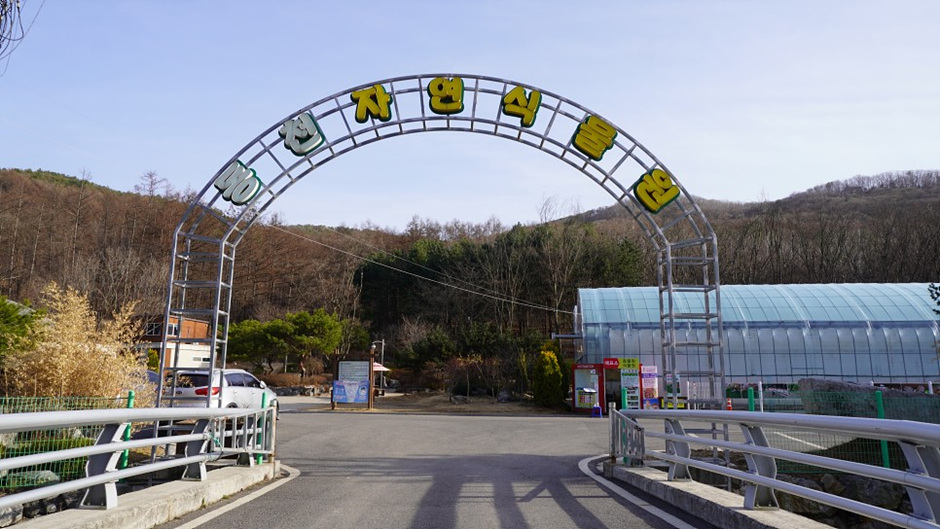 동천자연식물원 여행 추천 - 메고지고