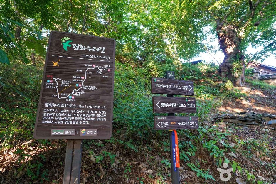 평화누리길 10코스 고랑포길 여행 추천 - 메고지고 평화누리길 10코스 고랑포길 여행 추천 - 메고지고