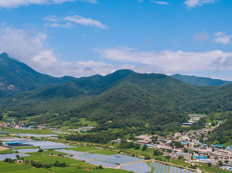 영암산(성주) 여행 추천 - 메고지고 영암산(성주) 여행 추천 - 메고지고