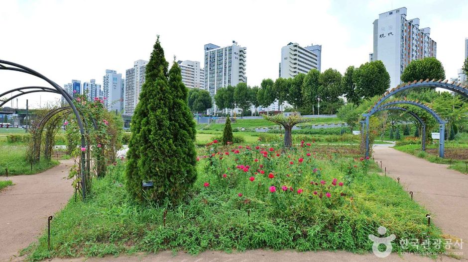 안양천 사계절 테마원 여행 추천 - 메고지고 안양천 사계절 테마원 여행 추천 - 메고지고