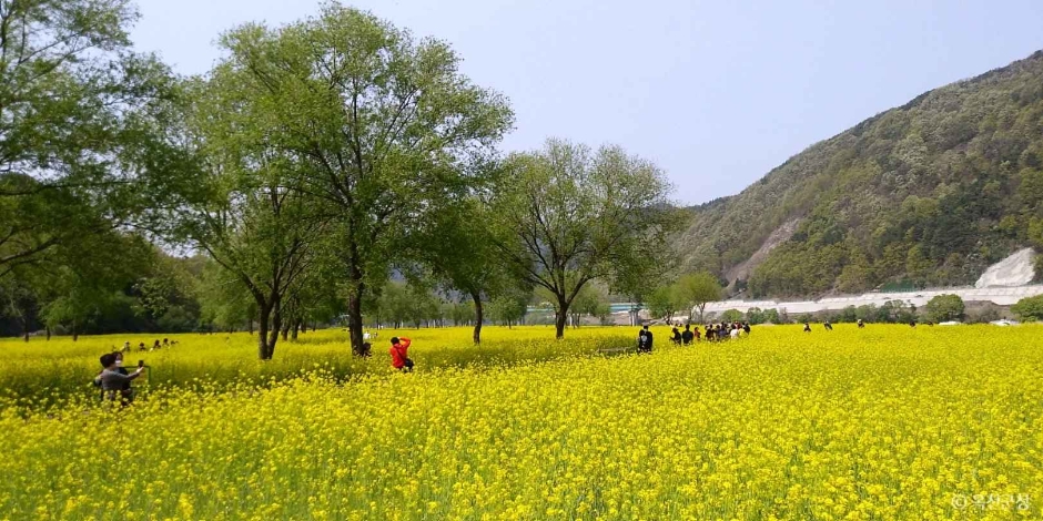 옥천금강수변 친수공원 여행 추천 - 메고지고