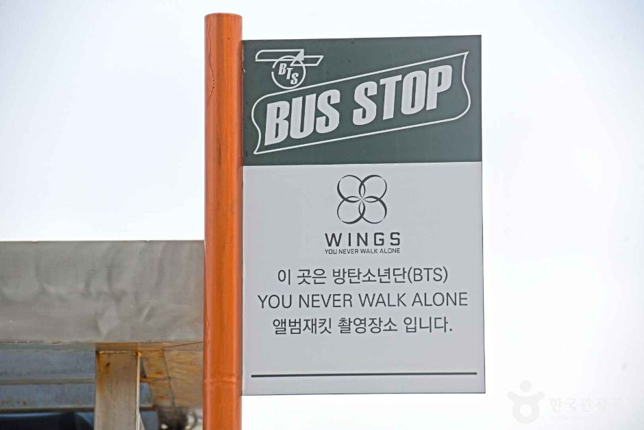 주문진읍 BTS 앨범사진 촬영지 (버스정류장) 여행 추천 - 메고지고 주문진읍 BTS 앨범사진 촬영지 (버스정류장) 여행 추천 - 메고지고
