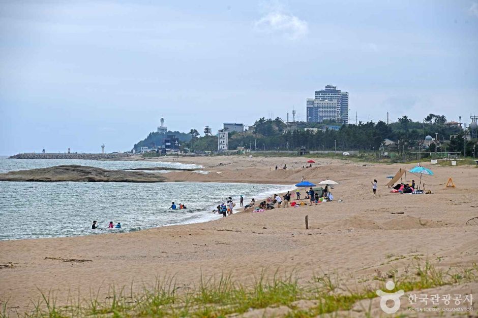 켄싱턴해변 여행 추천 - 메고지고 켄싱턴해변 여행 추천 - 메고지고