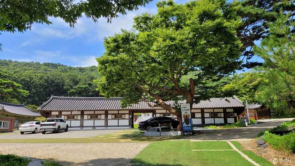 쌍계사(안산) 여행 추천 - 메고지고 쌍계사(안산) 여행 추천 - 메고지고