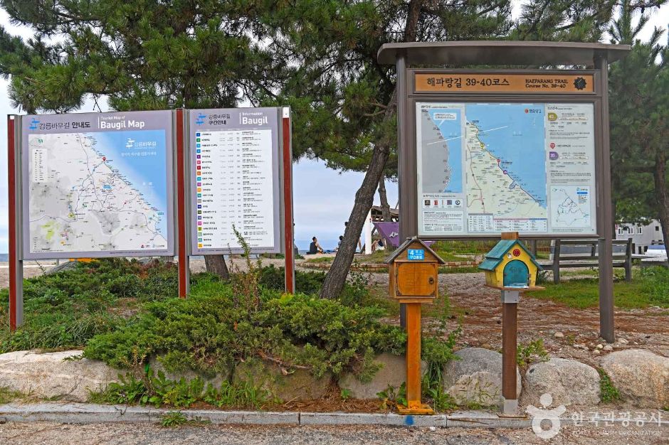 [강릉 바우길 5구간] 바다 호숫길 여행 추천 - 메고지고