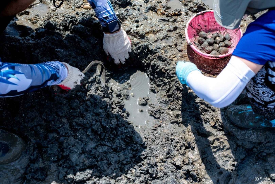 선감어촌체험마을 여행 추천 - 메고지고 선감어촌체험마을 여행 추천 - 메고지고