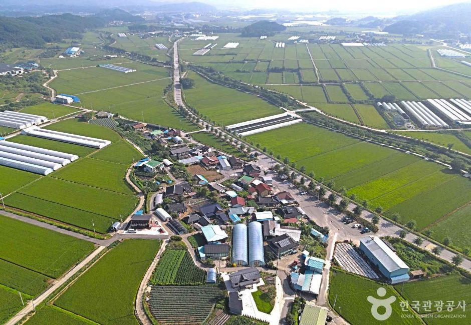 가장마을 여행 추천 - 메고지고 가장마을 여행 추천 - 메고지고