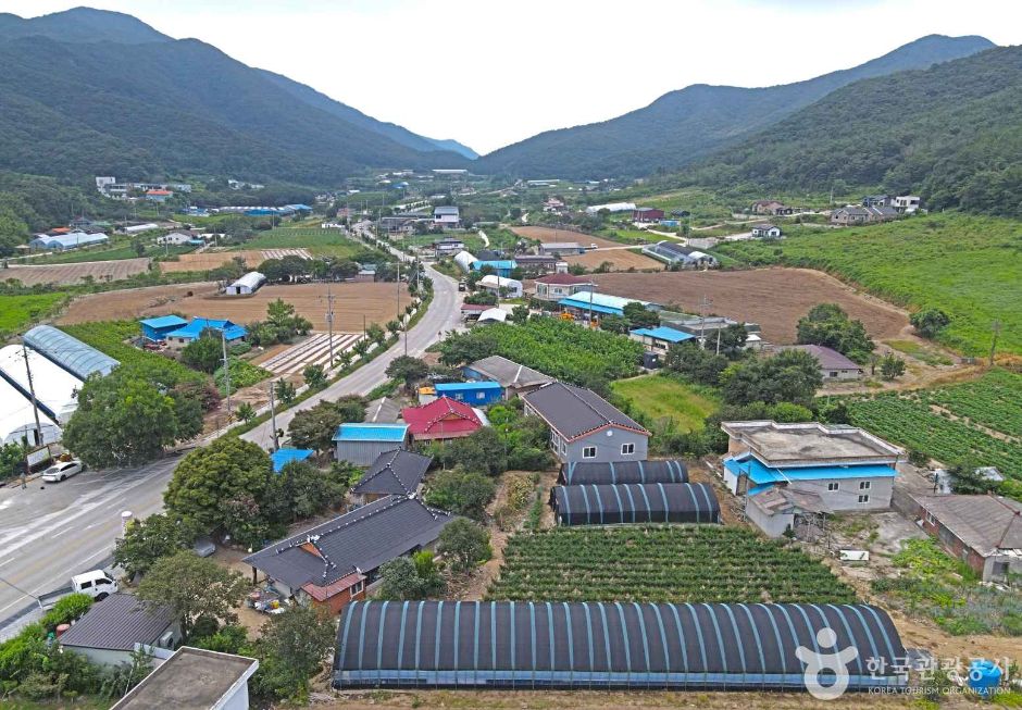 유유마을 여행 추천 - 메고지고 유유마을 여행 추천 - 메고지고