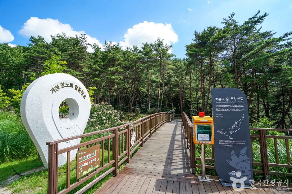 치유의숲 무장애길 여행 추천 - 메고지고 치유의숲 무장애길 여행 추천 - 메고지고