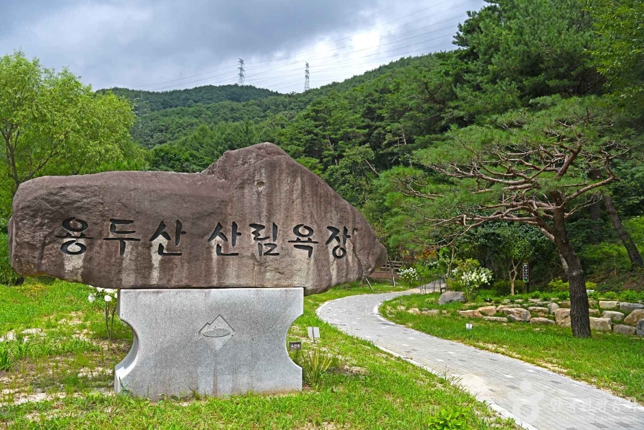용두산 산림욕장 여행 추천 - 메고지고 용두산 산림욕장 여행 추천 - 메고지고