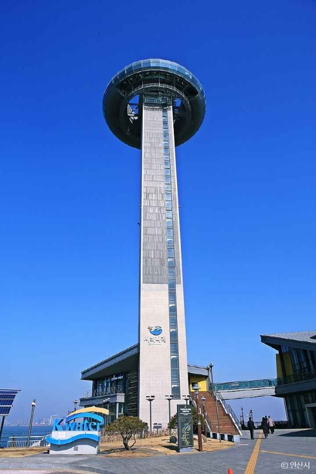 달전망대 여행 추천 - 메고지고 달전망대 여행 추천 - 메고지고