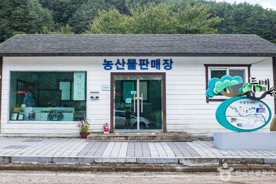 영양 두메송하마을 여행 추천 - 메고지고 영양 두메송하마을 여행 추천 - 메고지고
