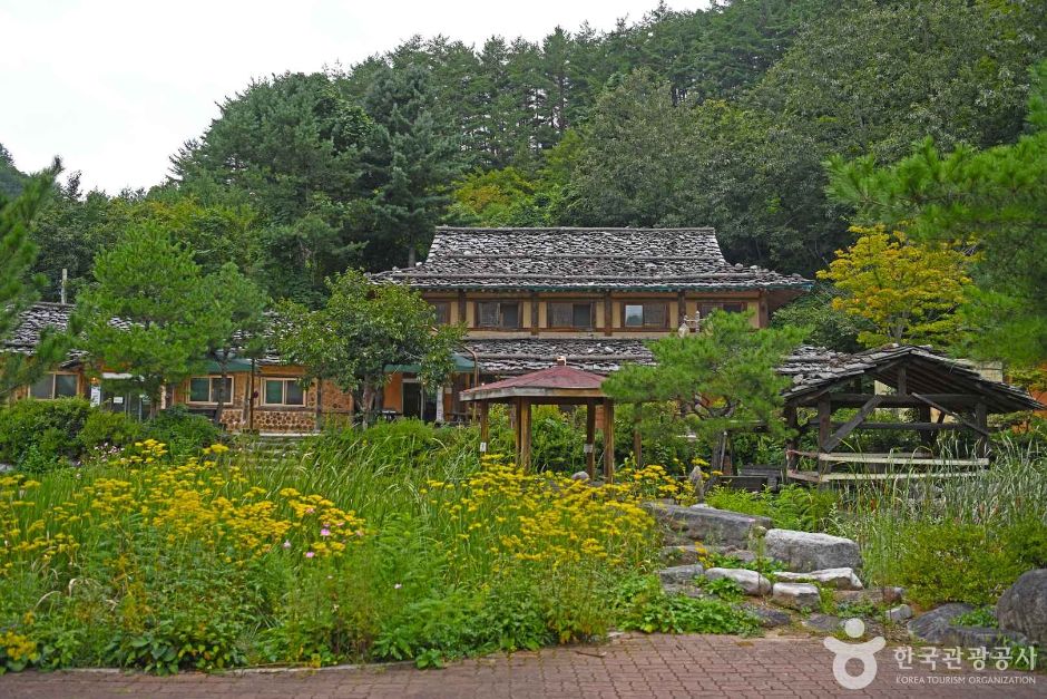 삼척 신리너와마을 여행 추천 - 메고지고