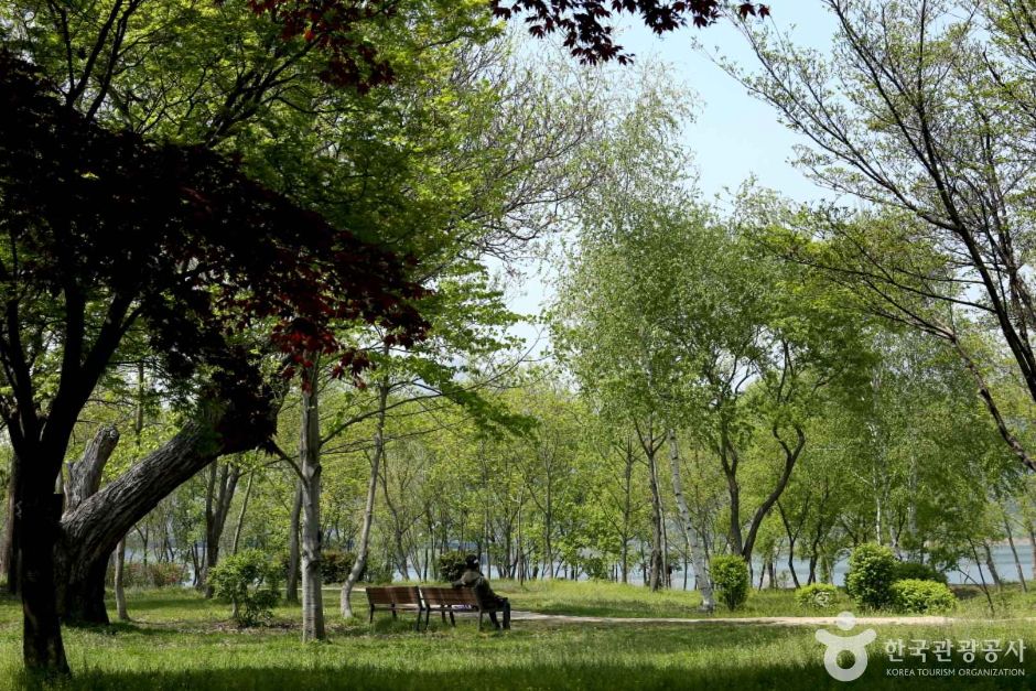 수풀로 양수리 여행 추천 - 메고지고 수풀로 양수리 여행 추천 - 메고지고