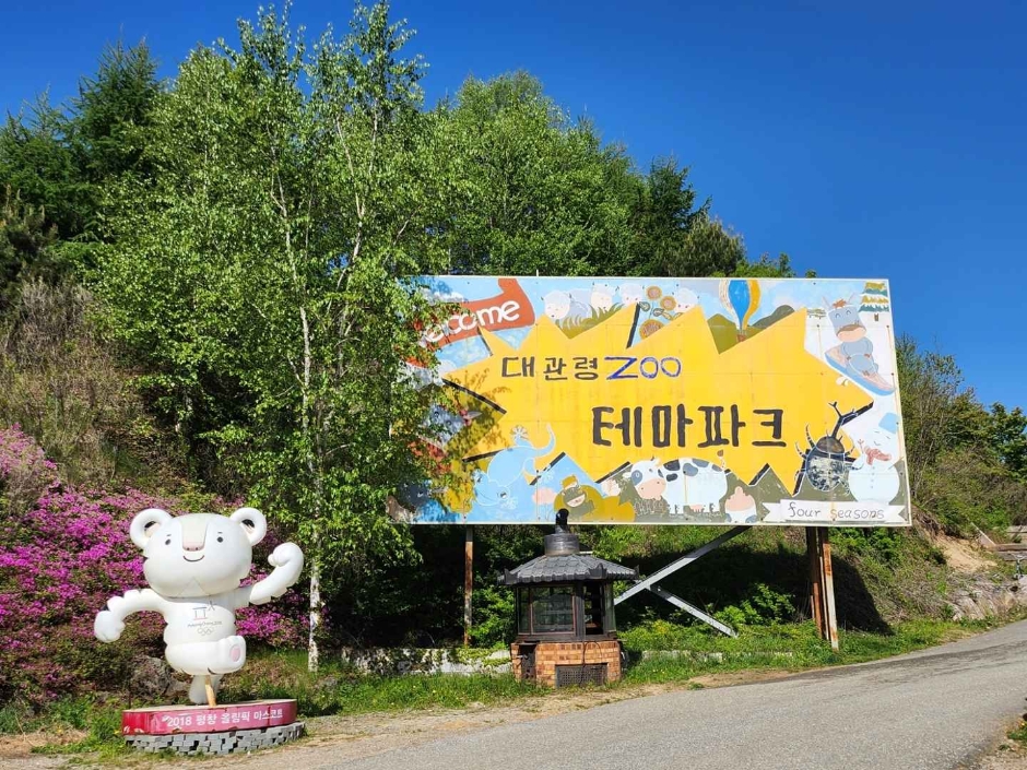 대관령 주주파크 여행 추천 - 메고지고 대관령 주주파크 여행 추천 - 메고지고