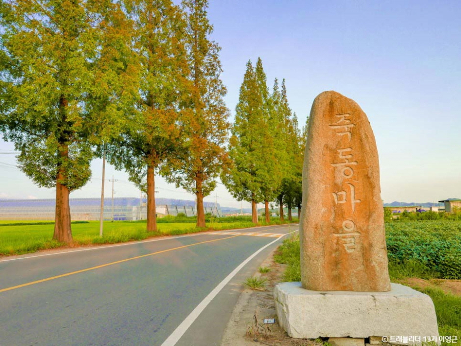 죽동마을 여행 추천 - 메고지고 죽동마을 여행 추천 - 메고지고