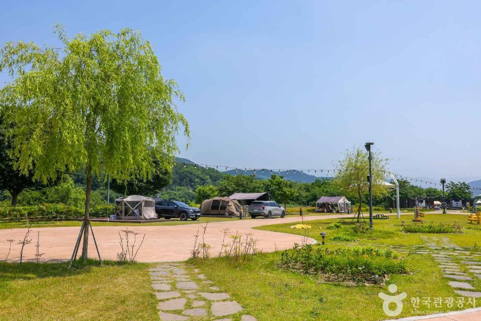 금호강 오토캠핑장 여행 추천 - 메고지고
