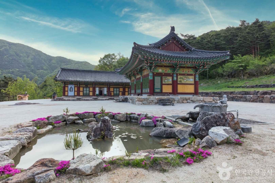진전사 여행 추천 - 메고지고 진전사 여행 추천 - 메고지고