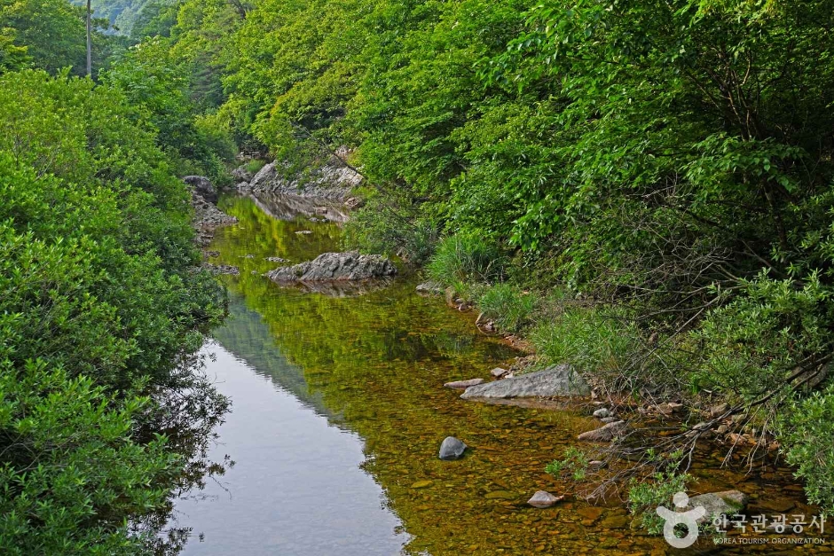만수계곡 여행 추천 - 메고지고