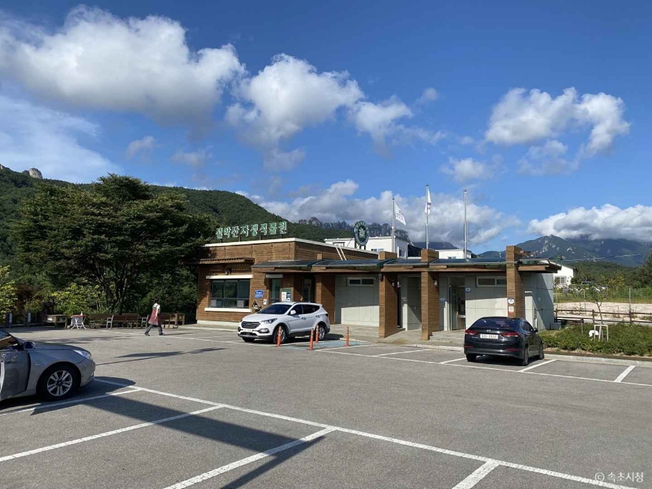 설악산 자생식물원 여행 추천 - 메고지고 설악산 자생식물원 여행 추천 - 메고지고